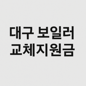 대구 보일러 교체지원금