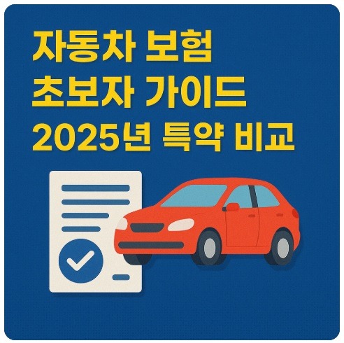 자동차 보험