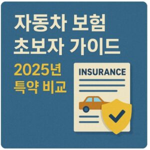 자동차 보험