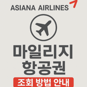아시아나 마일리지 항공권 조회