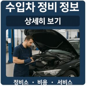 수입차 정비