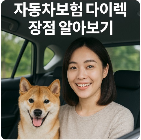 자동차보험 다이렉트