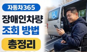 자동차365 장애인차량 조회