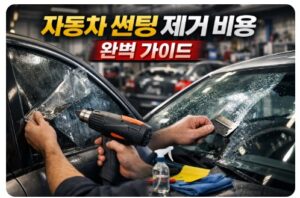 자동차 썬팅 제거 비용