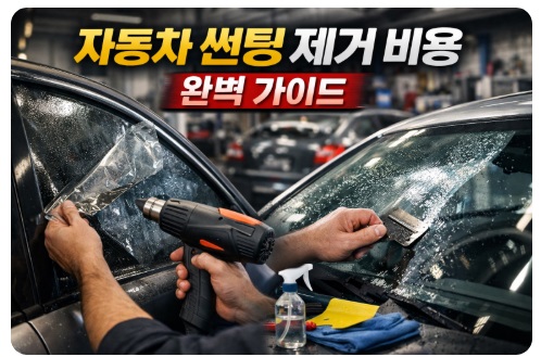 자동차 썬팅 제거 비용