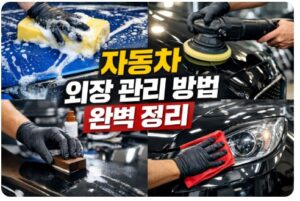 자동차 외장 관리