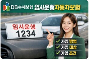 db손해보험 임시운행자동차보험