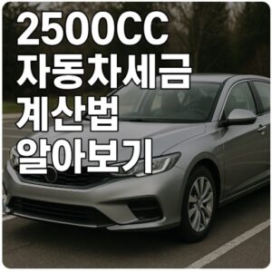 2500cc 자동차세금