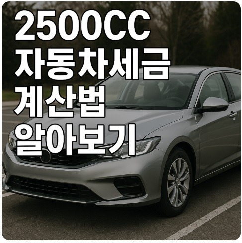 2500cc 자동차세금