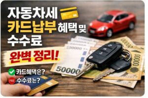 자동차세 카드납부