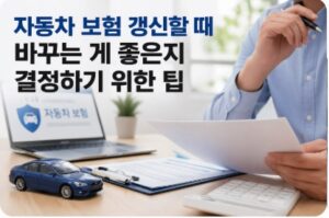 자동차 보험