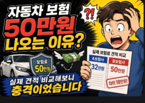 자동차 보험