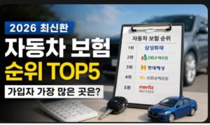 자동차 보험