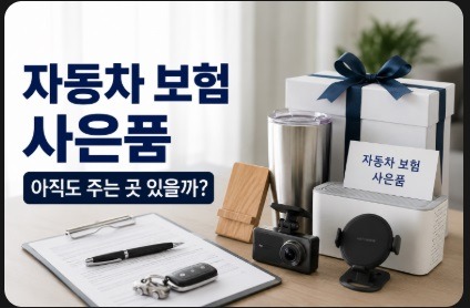 자동차 보험