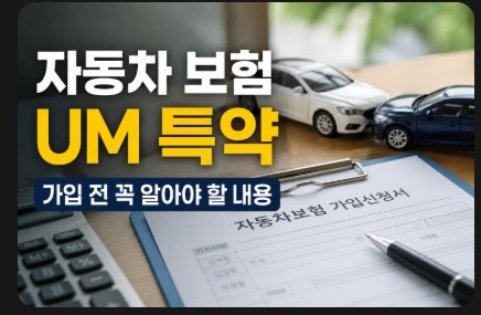 자동차 보험