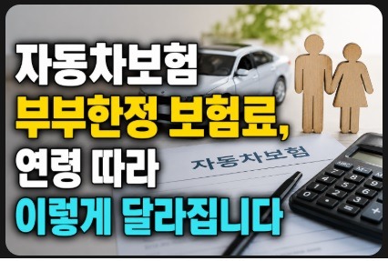 자동차보험