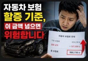 자동차 보험