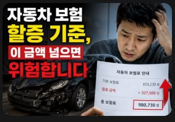 자동차 보험