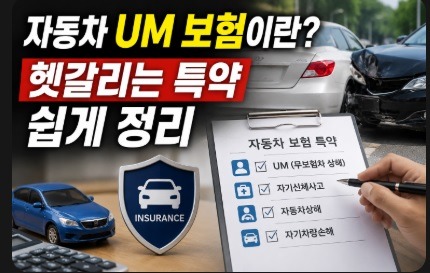 자동차 um 보험