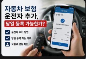 자동차 보험