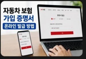 자동차 보험