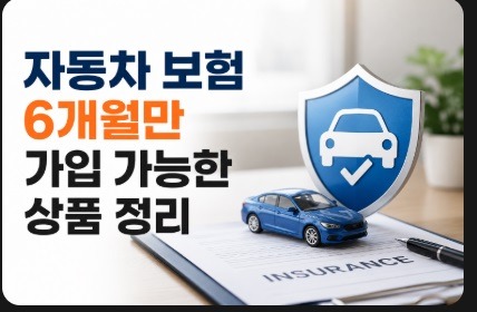 자동차 보험