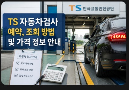 ts 자동차검사