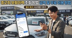 중고차 보험이력 조회