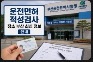 운전면허 적성검사