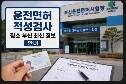운전면허 적성검사