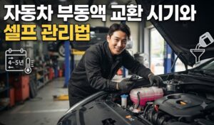 자동차 부동액