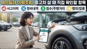 헤이딜러 이력조회